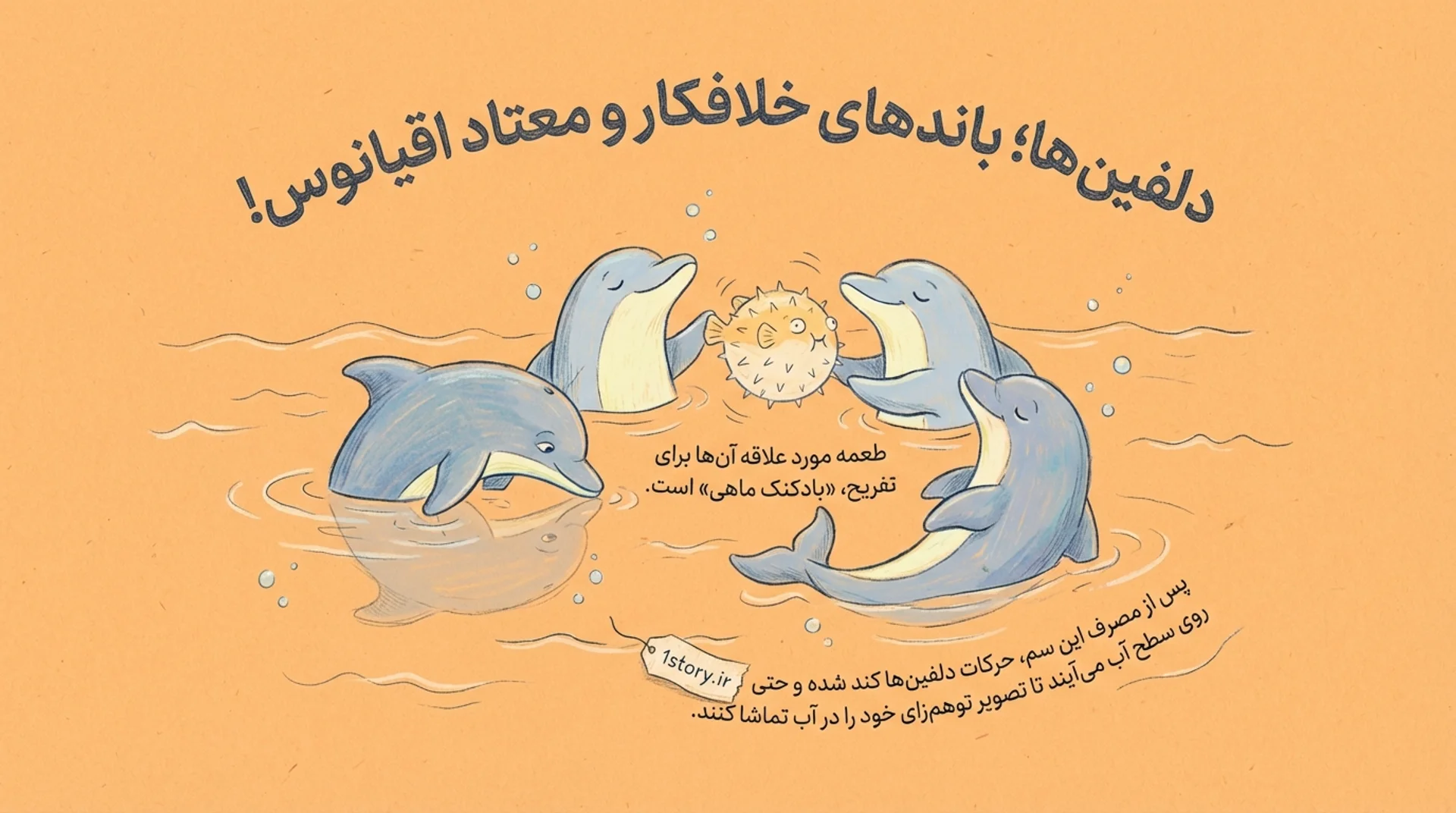 عکس دلفین‌ها؛ باندهای خلافکار و معتاد اقیانوس!