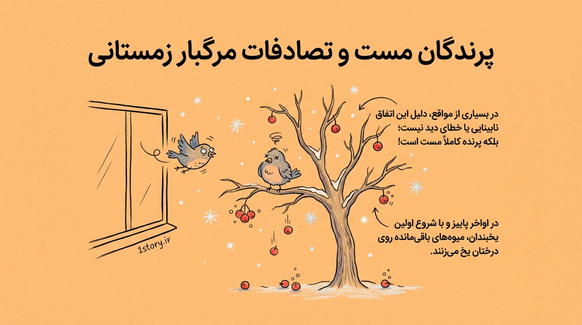 عکس پرندگان مست