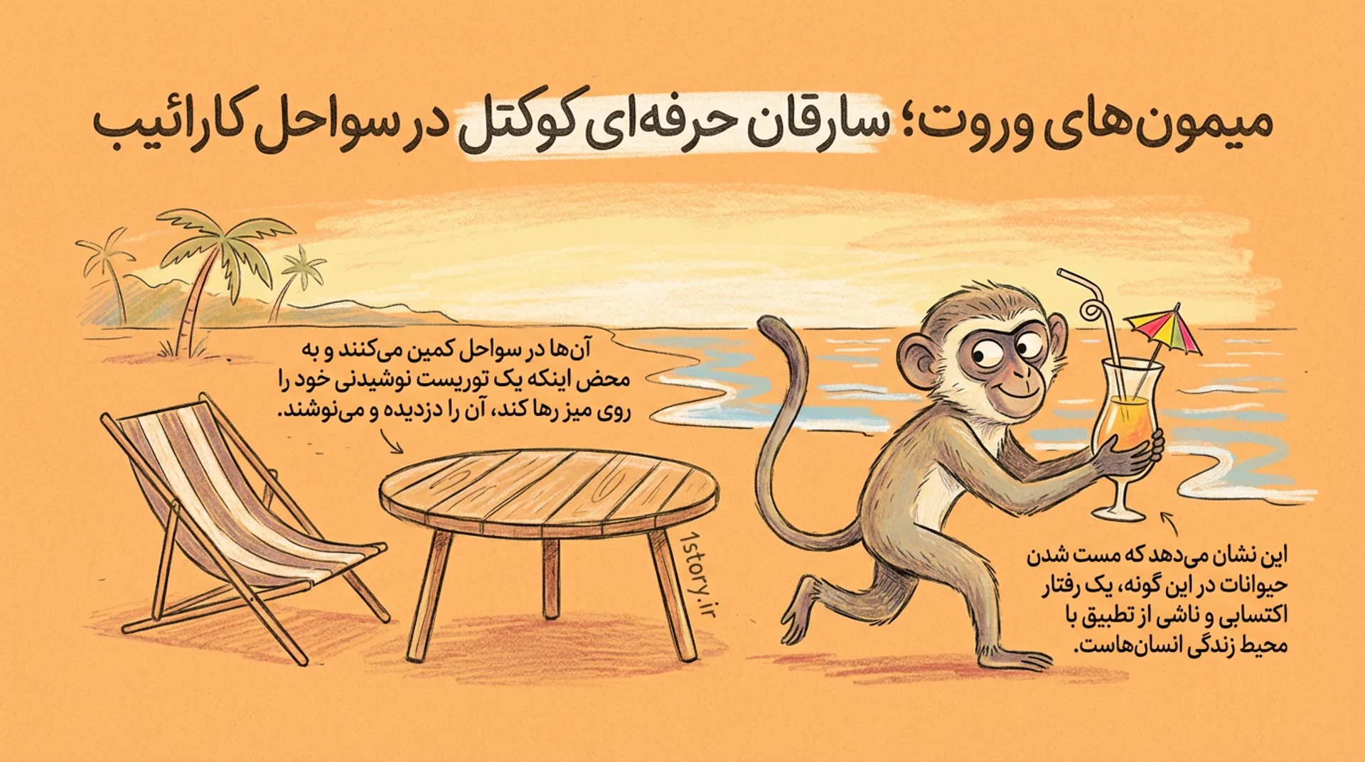 عکس میمون‌های وروت