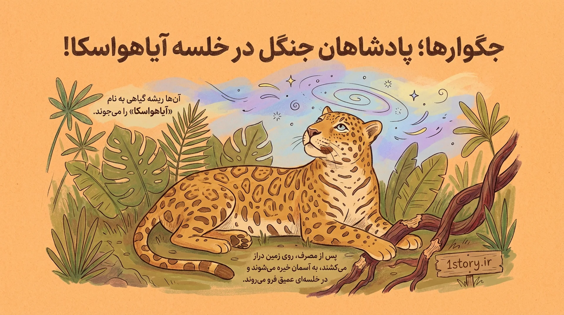 عکس جگوارها؛ پادشاهان جنگل در خلسه آیاهواسکا!