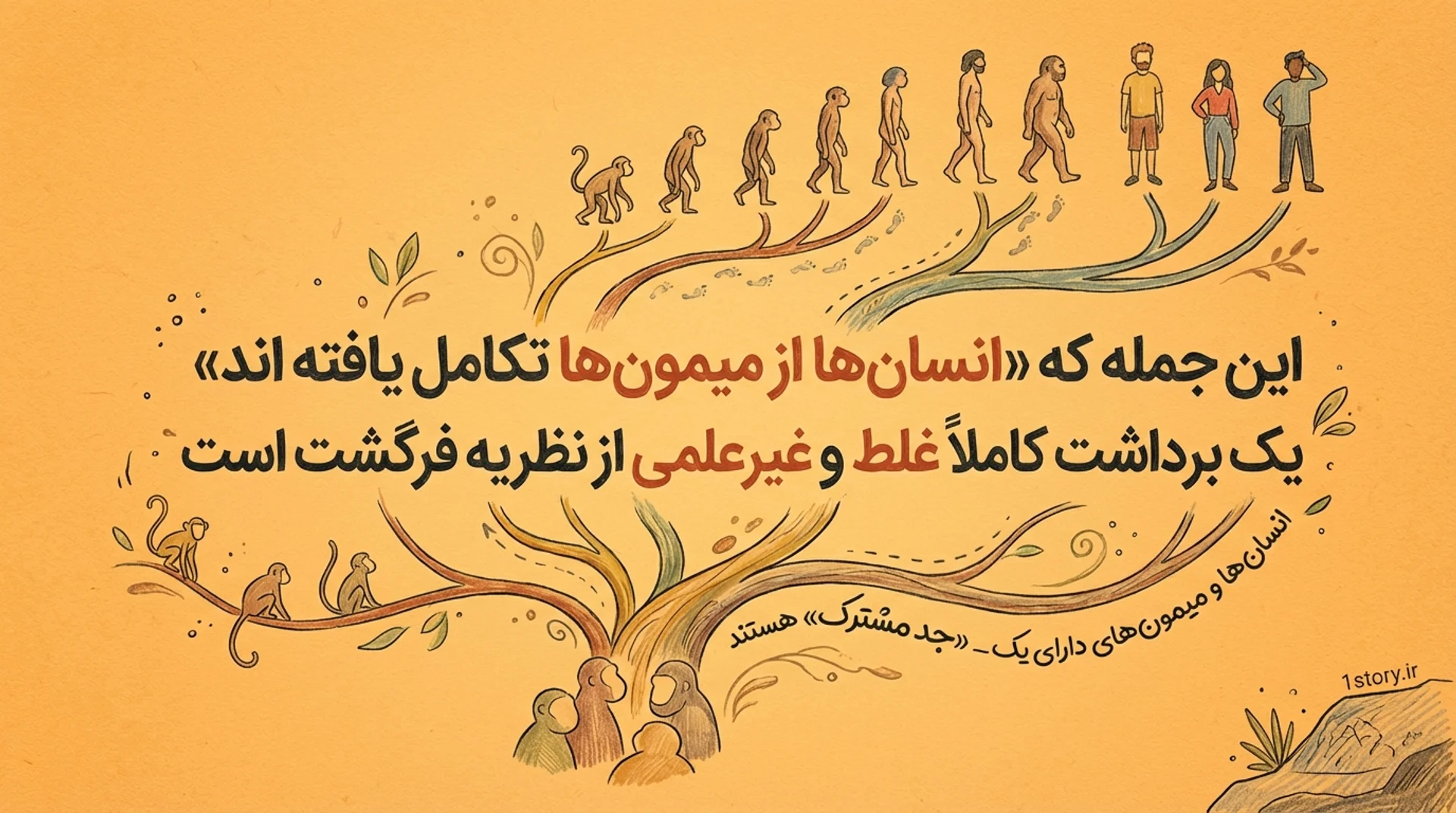 عکس انسان‌ها از نسل میمون‌ها هستند؟