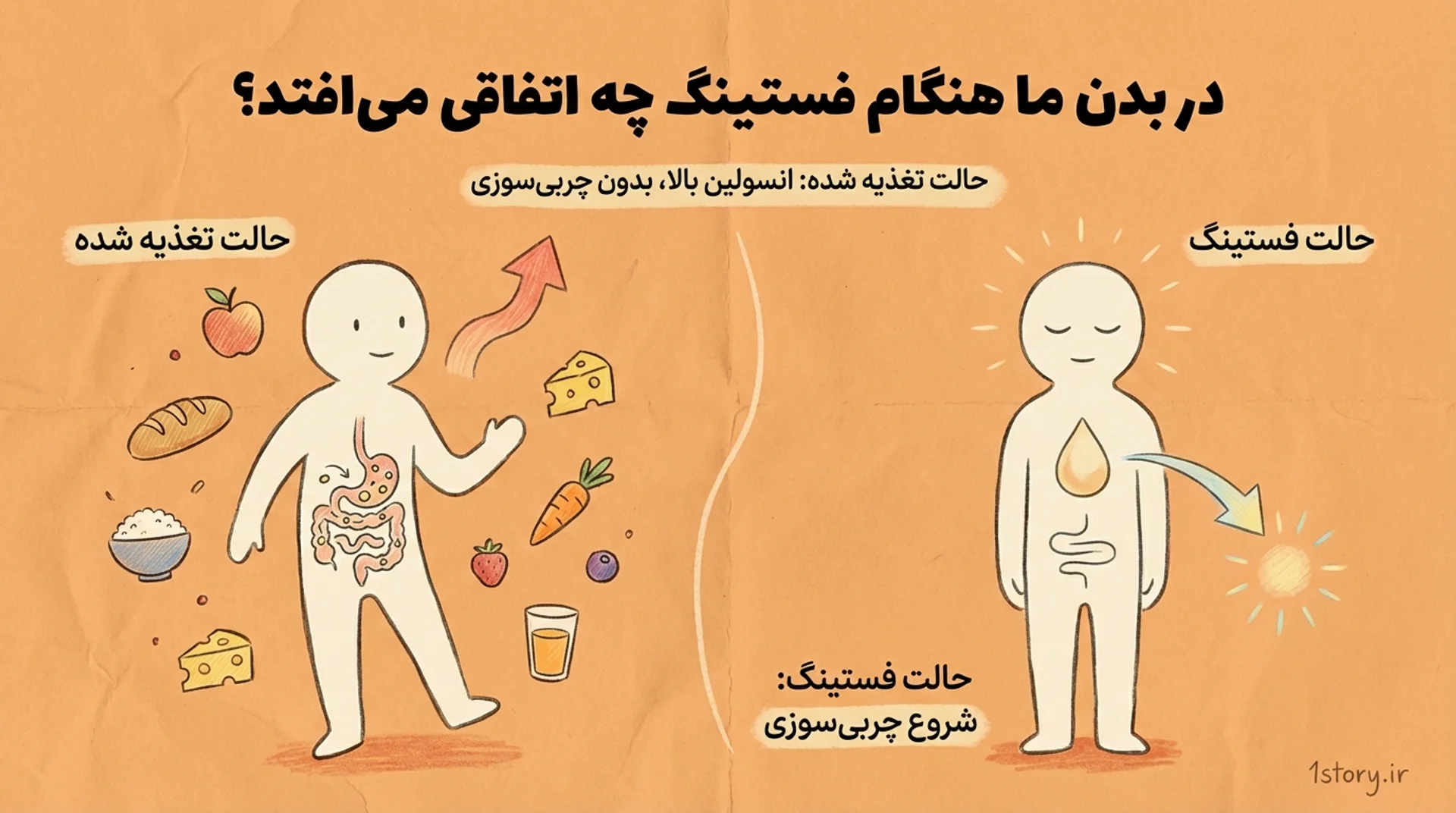 عکس هنگام فستینگ چه اتفاقی می‌افتد