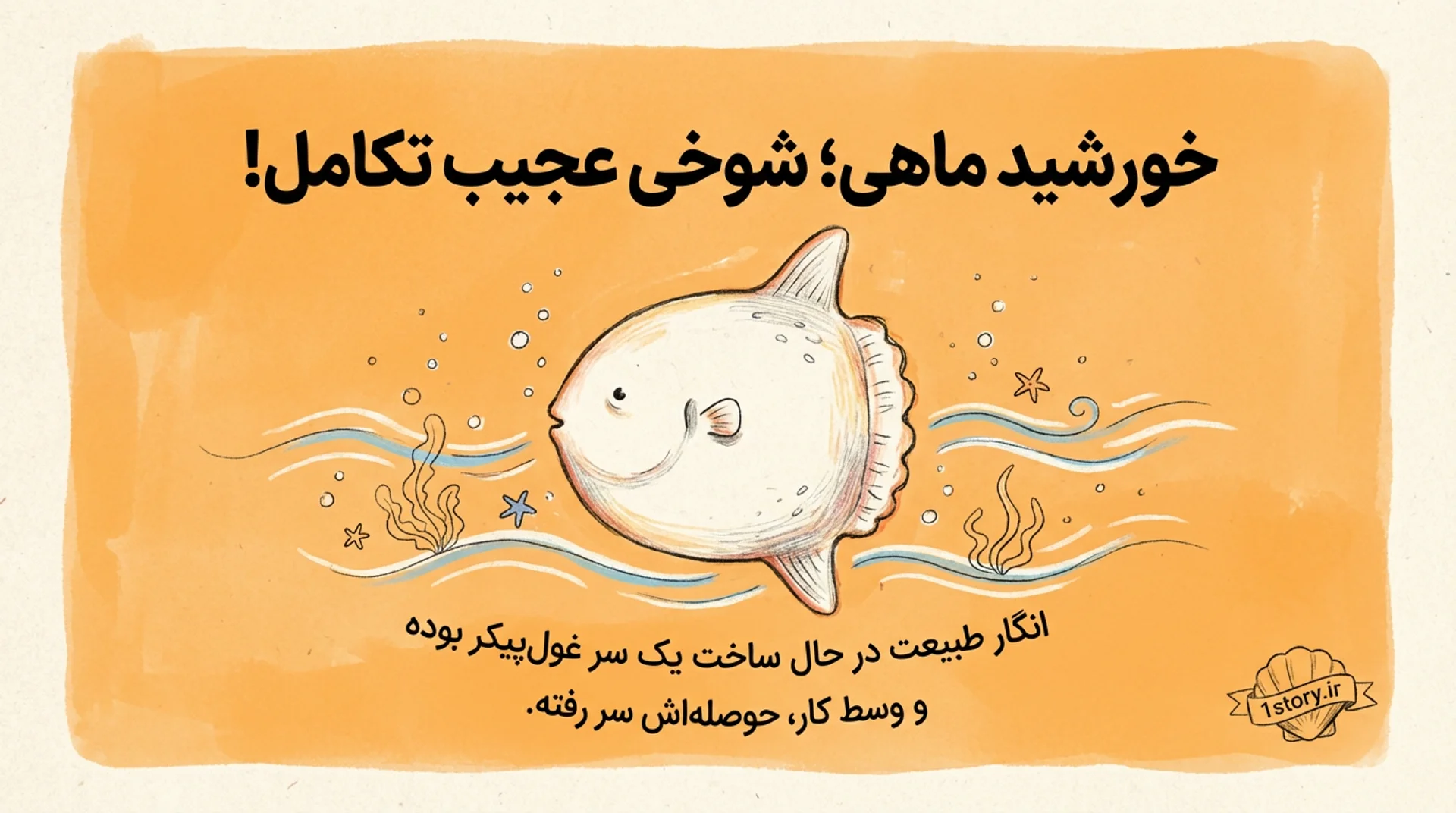 عکس خورشید ماهی؛ شوخی عجیب تکامل!