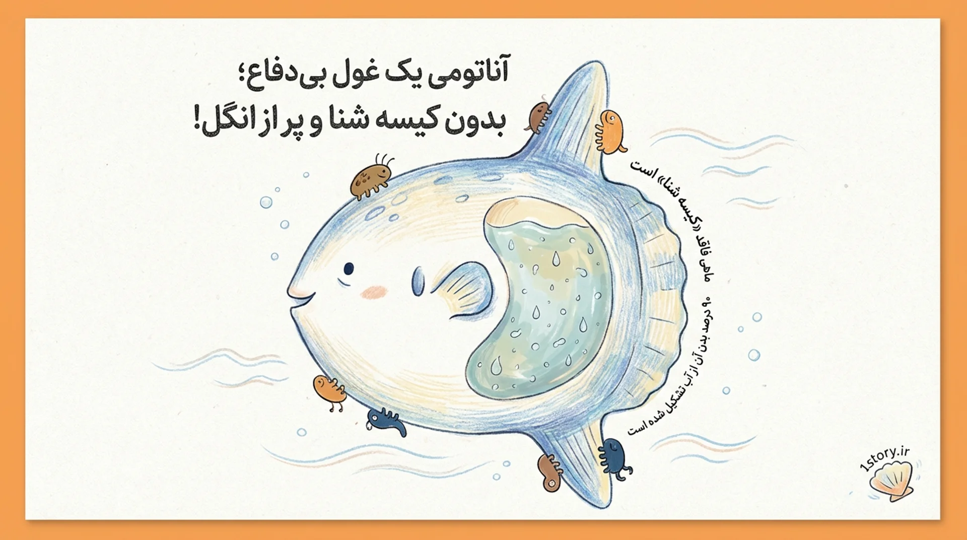 عکس آناتومی یک غول بی‌دفاع؛ بدون کیسه شنا و پر از انگل!