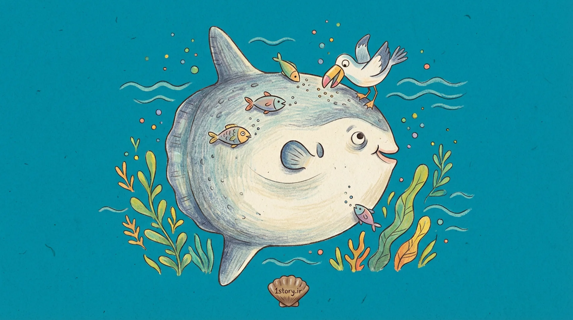 عکس احمق‌ترین حیوان اقیانوس