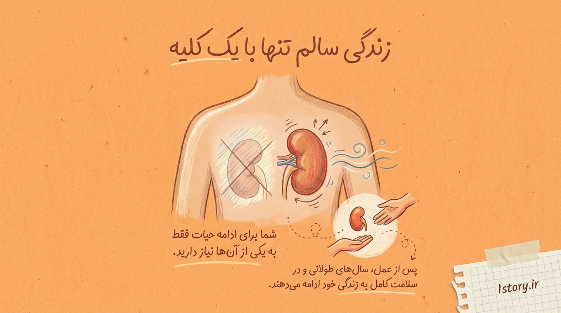عکس زندگی سالم تنها با یک کلیه