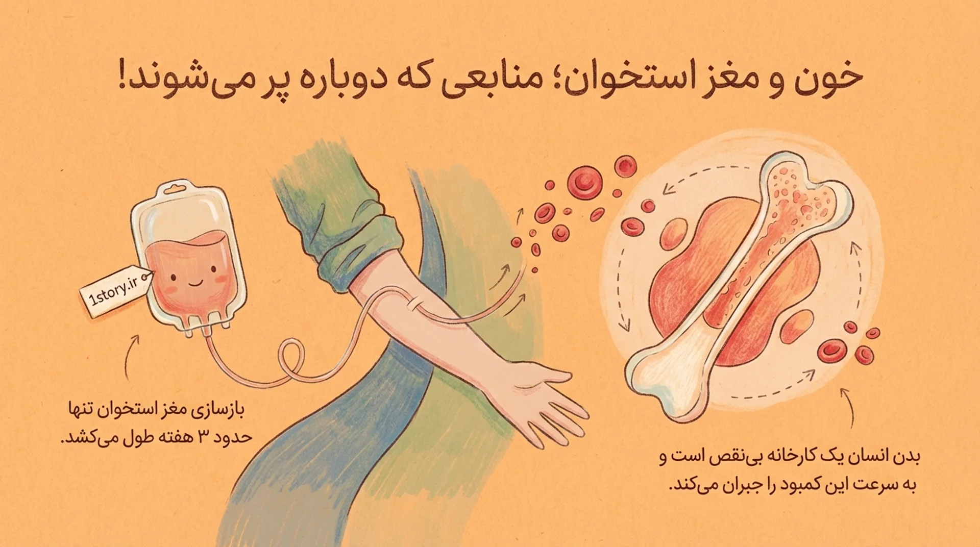 عکس خون و مغز استخوان