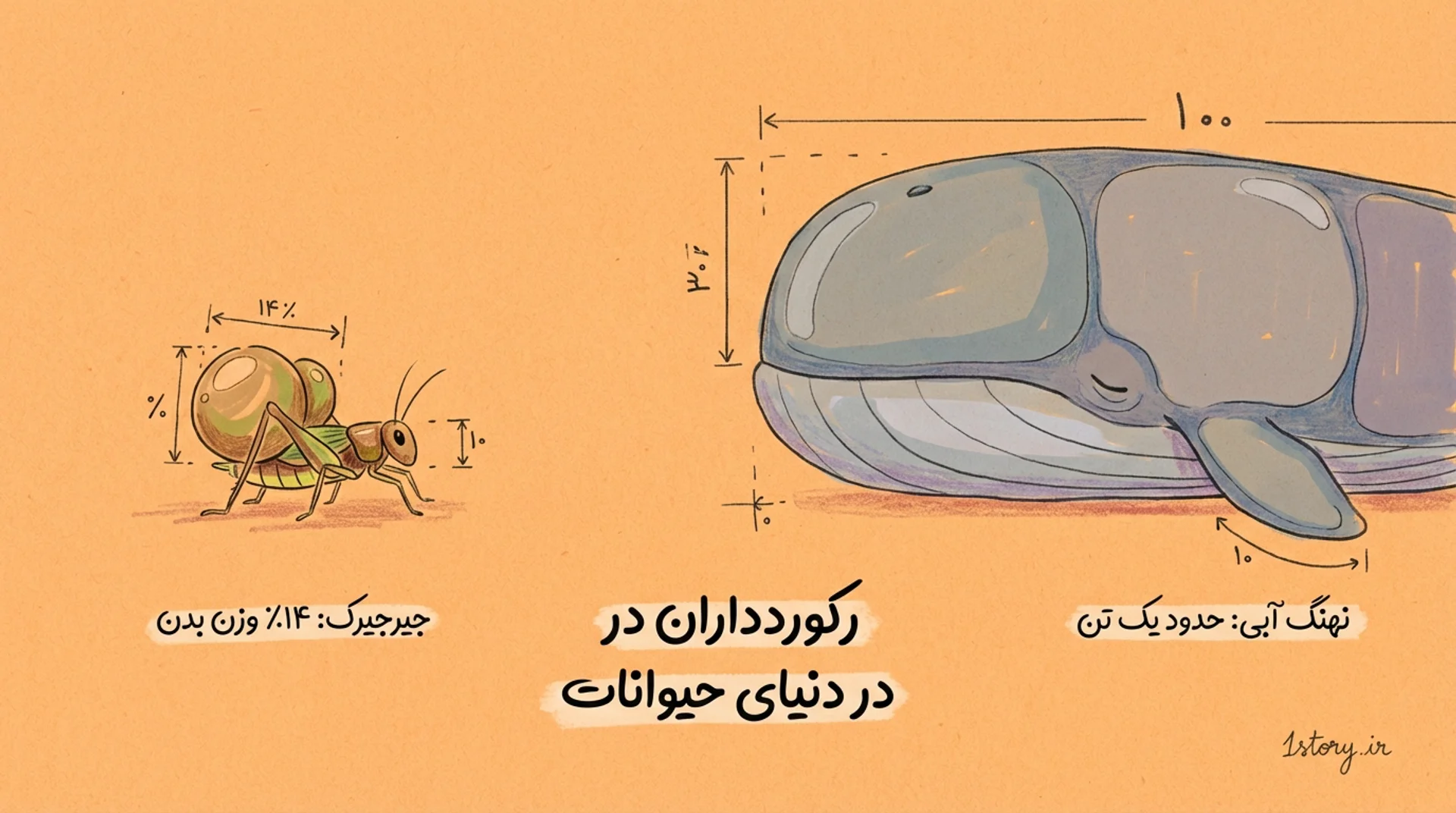 عکس رکوردداران در دنیای حیوانات
